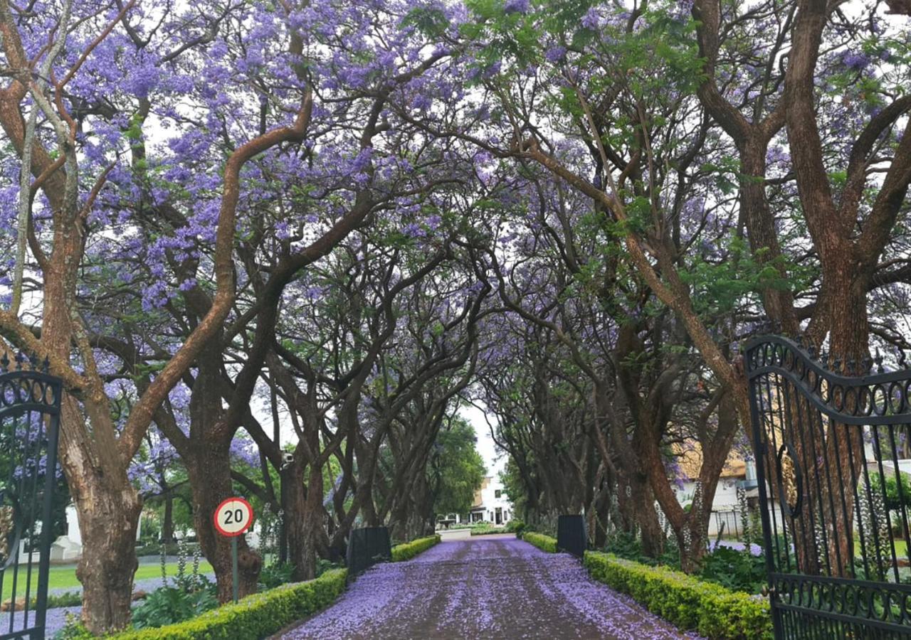 Kievits Kroon Gauteng Wine Estate Pretoria-Noord Eksteriør bilde