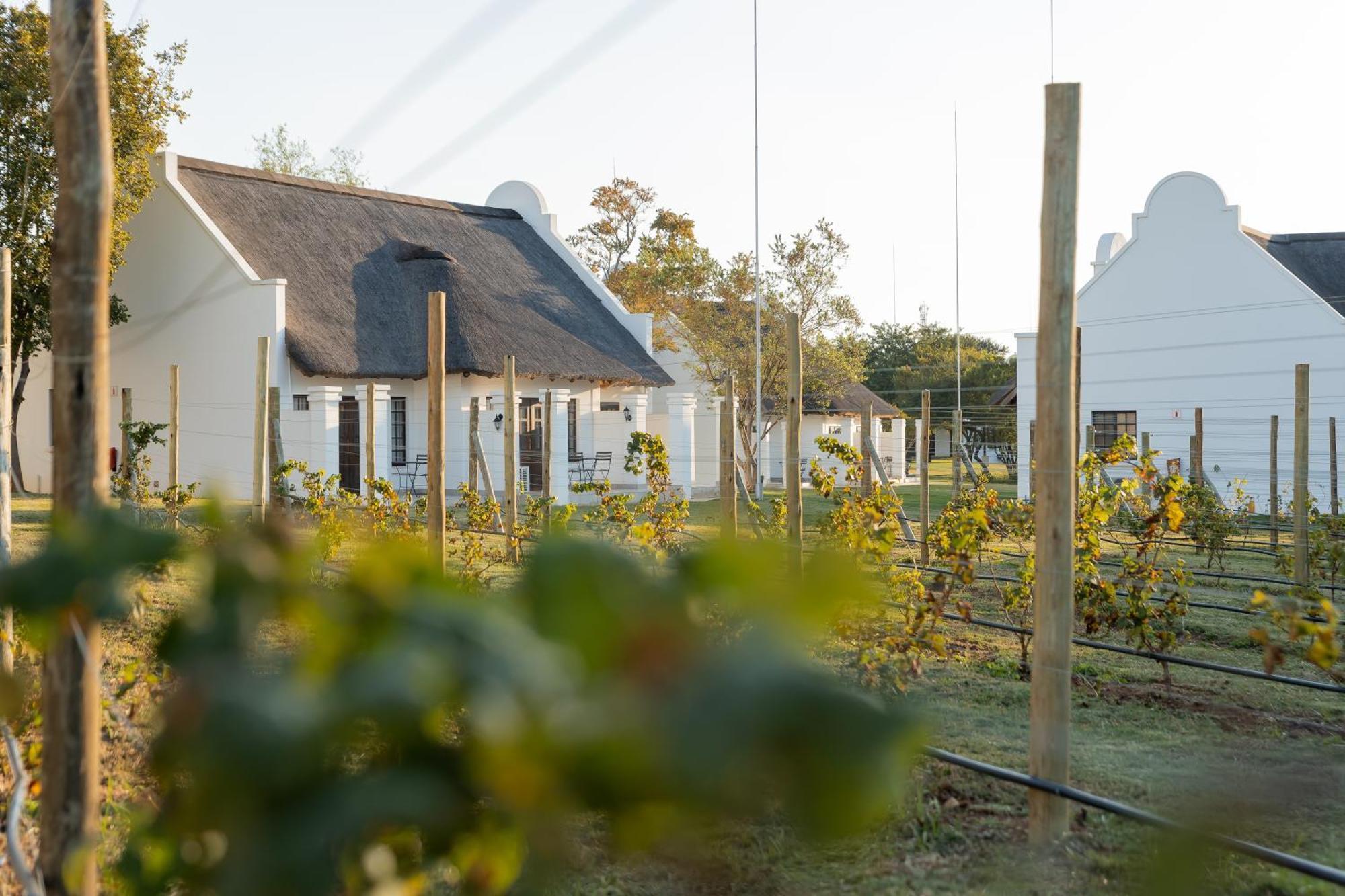 Kievits Kroon Gauteng Wine Estate Pretoria-Noord Eksteriør bilde